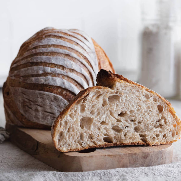 Part I — How To Make Sourdough More (or Less) Sour | Brod & Taylor